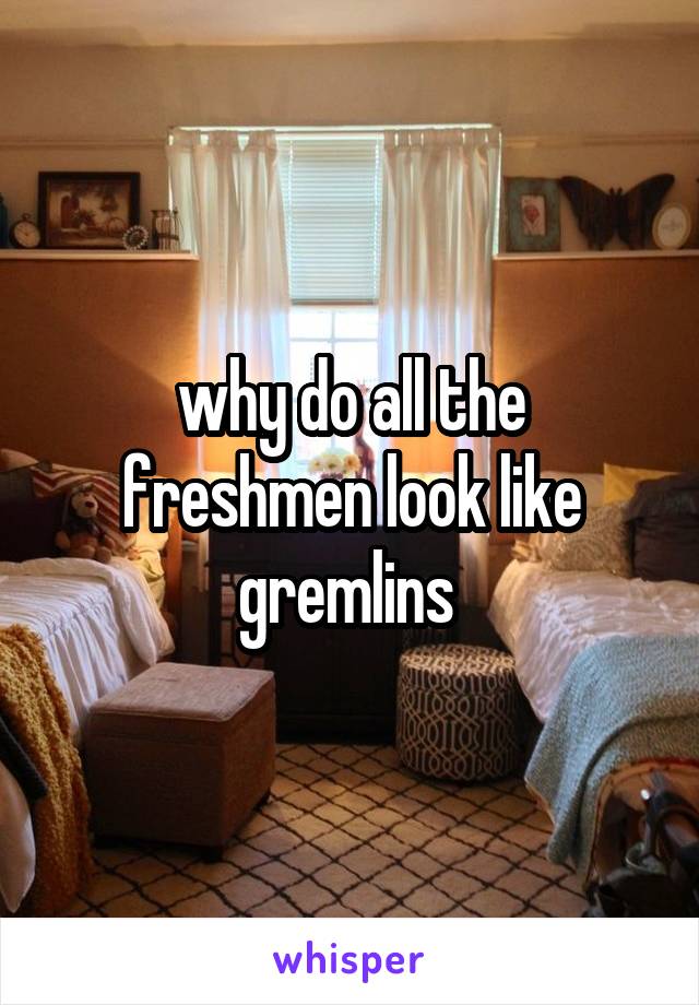 why do all the freshmen look like gremlins 