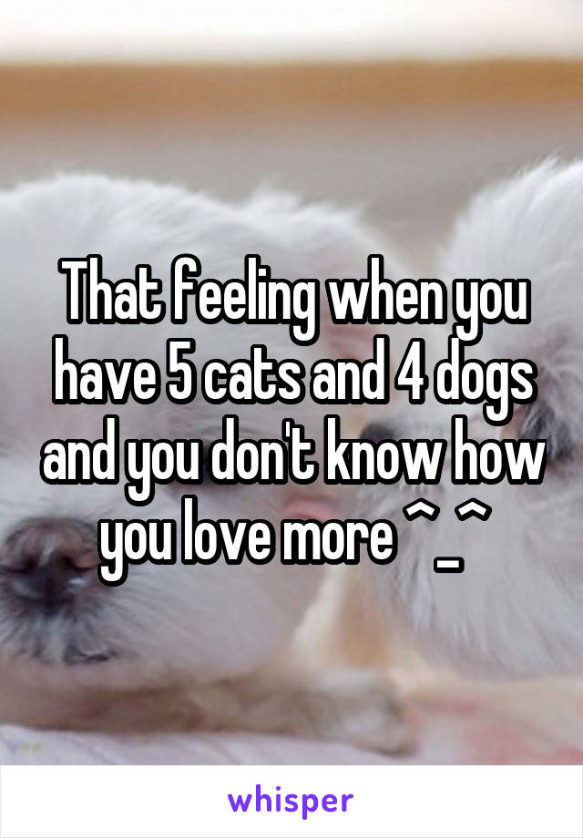 That feeling when you have 5 cats and 4 dogs and you don't know how you love more ^_^