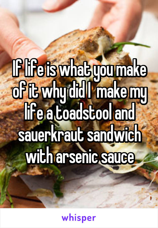 If life is what you make of it why did I  make my life a toadstool and sauerkraut sandwich with arsenic sauce