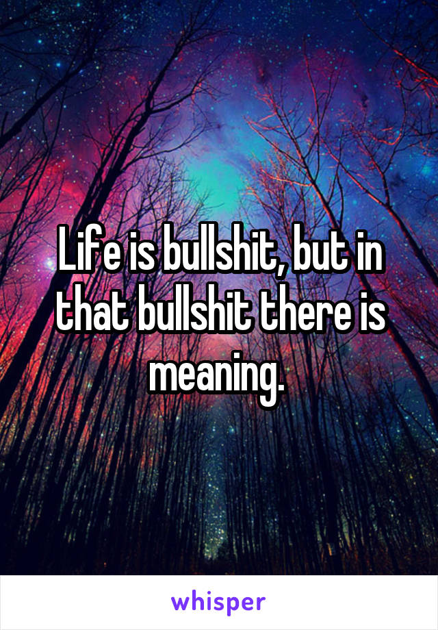 Life is bullshit, but in that bullshit there is meaning. 