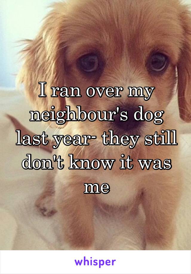 I ran over my neighbour's dog last year- they still don't know it was me