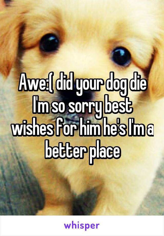 Awe:( did your dog die I'm so sorry best wishes for him he's I'm a better place