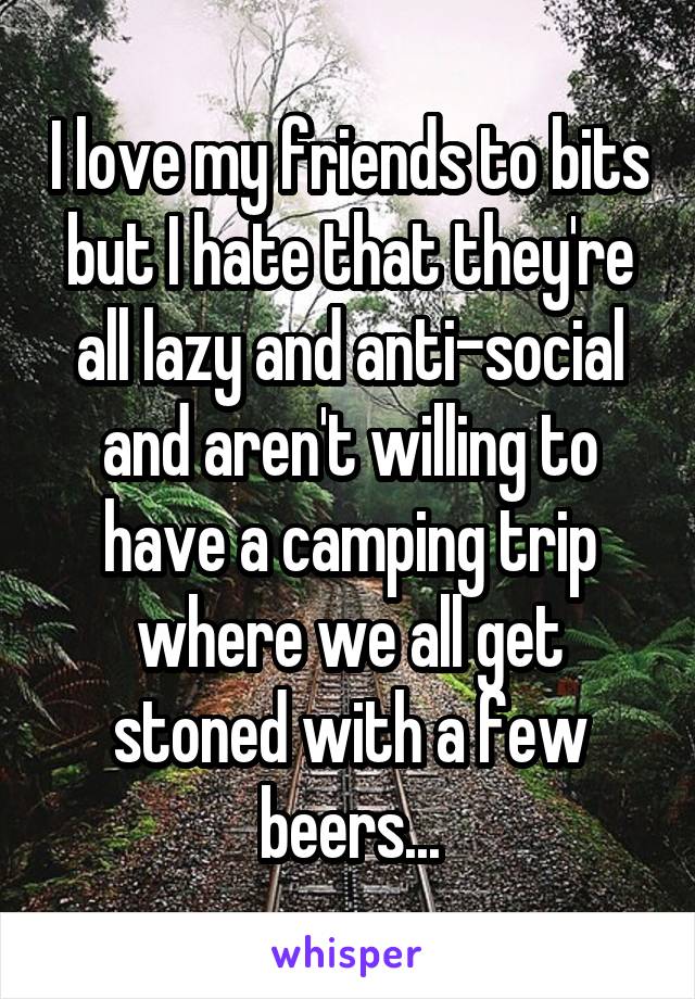 I love my friends to bits but I hate that they're all lazy and anti-social and aren't willing to have a camping trip where we all get stoned with a few beers...