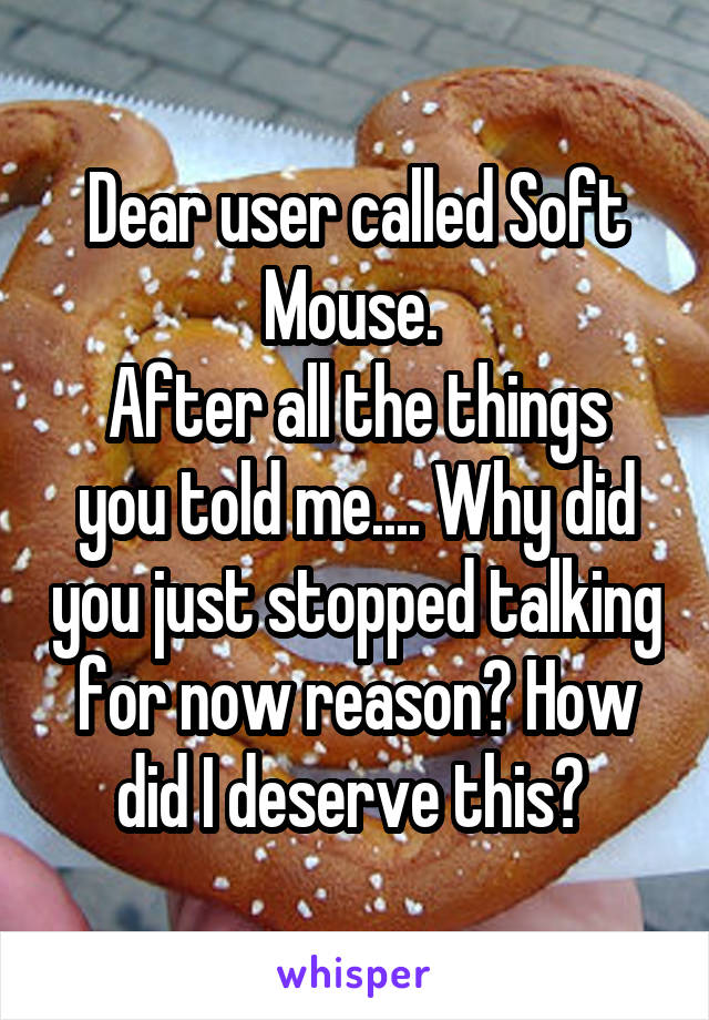 Dear user called Soft Mouse. 
After all the things you told me.... Why did you just stopped talking for now reason? How did I deserve this? 