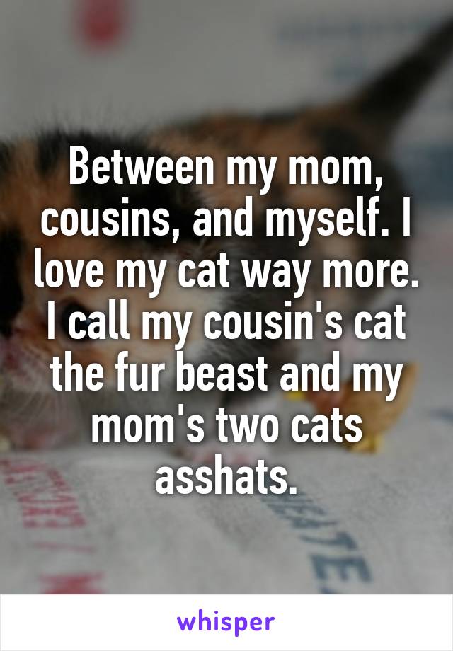 Between my mom, cousins, and myself. I love my cat way more. I call my cousin's cat the fur beast and my mom's two cats asshats.