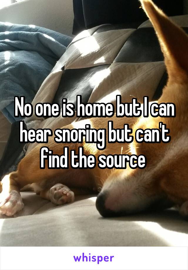 No one is home but I can hear snoring but can't find the source 