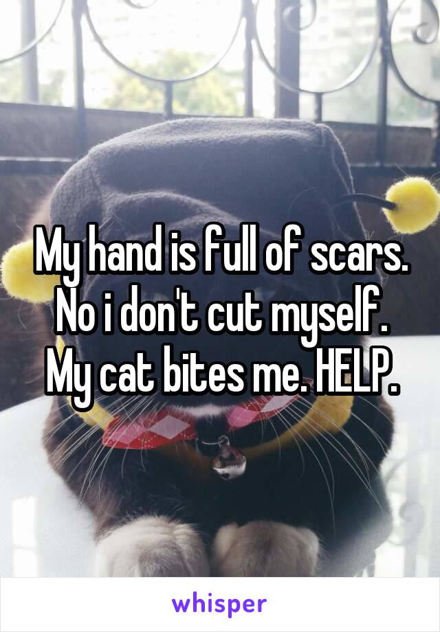 My hand is full of scars. No i don't cut myself. My cat bites me. HELP.