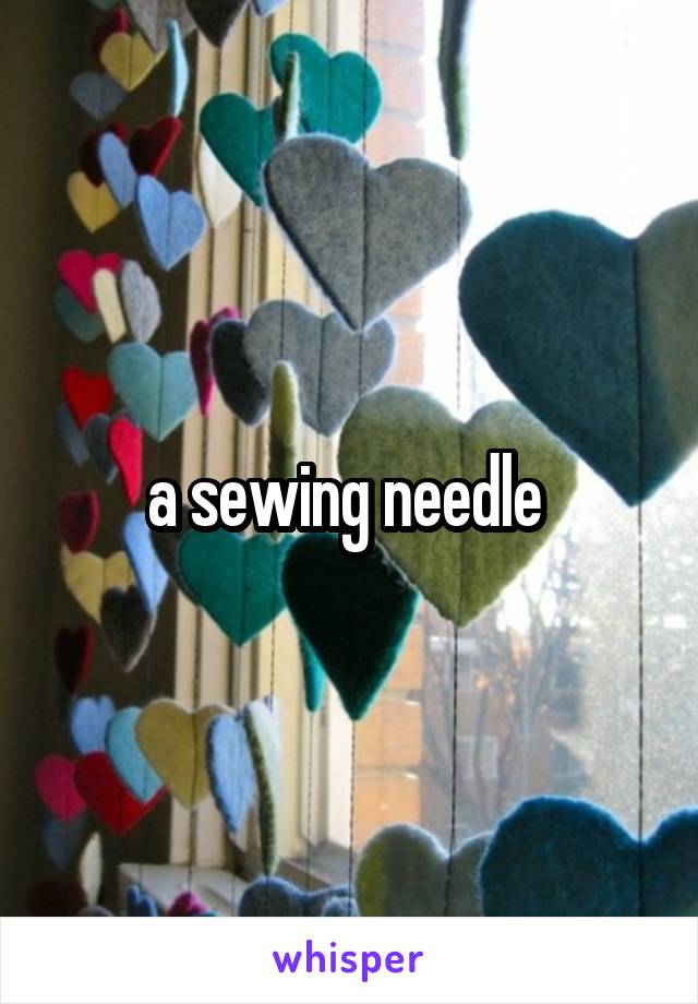a sewing needle 