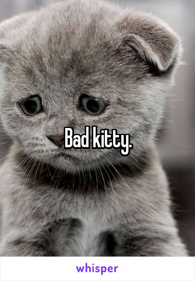 Bad kitty.