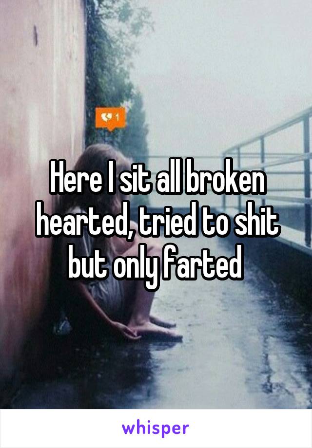 Here I sit all broken hearted, tried to shit but only farted 