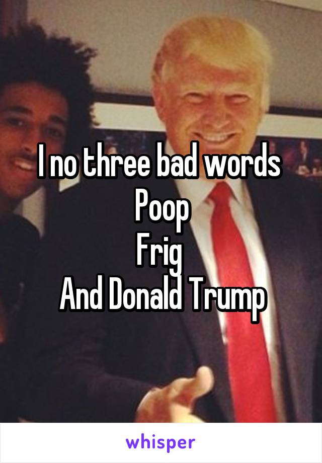 I no three bad words 
Poop
Frig 
And Donald Trump