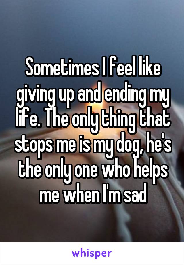 Sometimes I feel like giving up and ending my life. The only thing that stops me is my dog, he's the only one who helps me when I'm sad