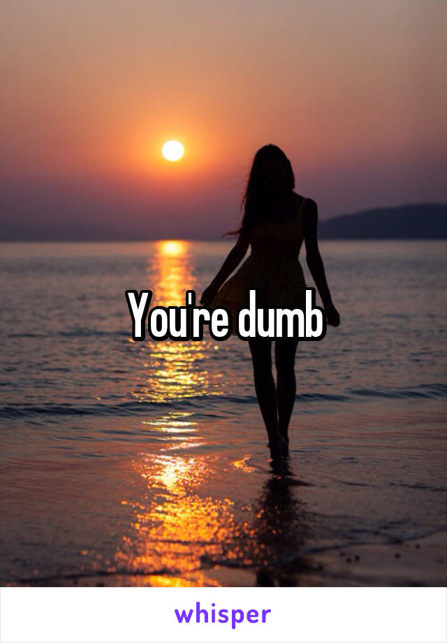 You're dumb