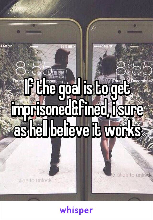 If the goal is to get imprisoned&fined, i sure as hell believe it works