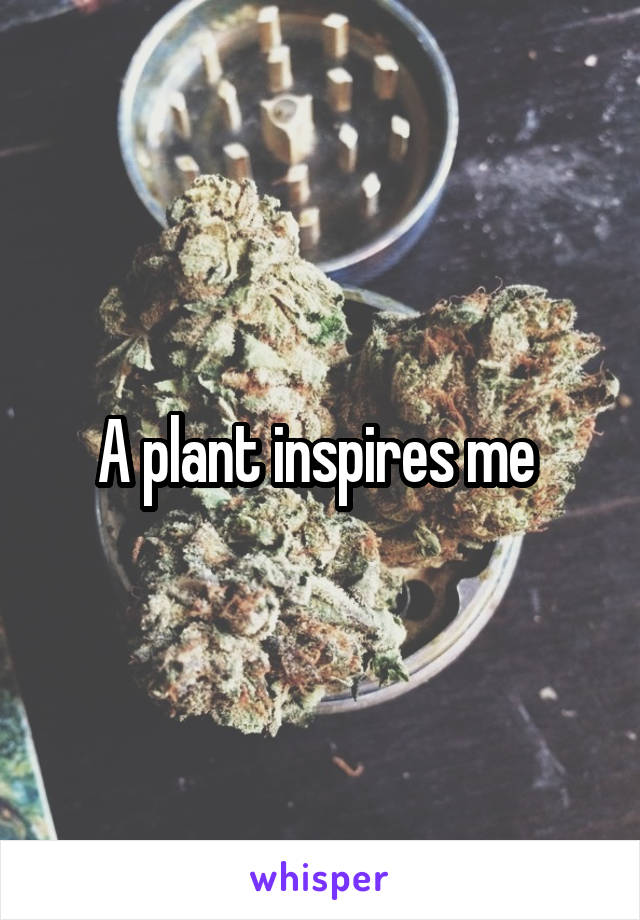 A plant inspires me 