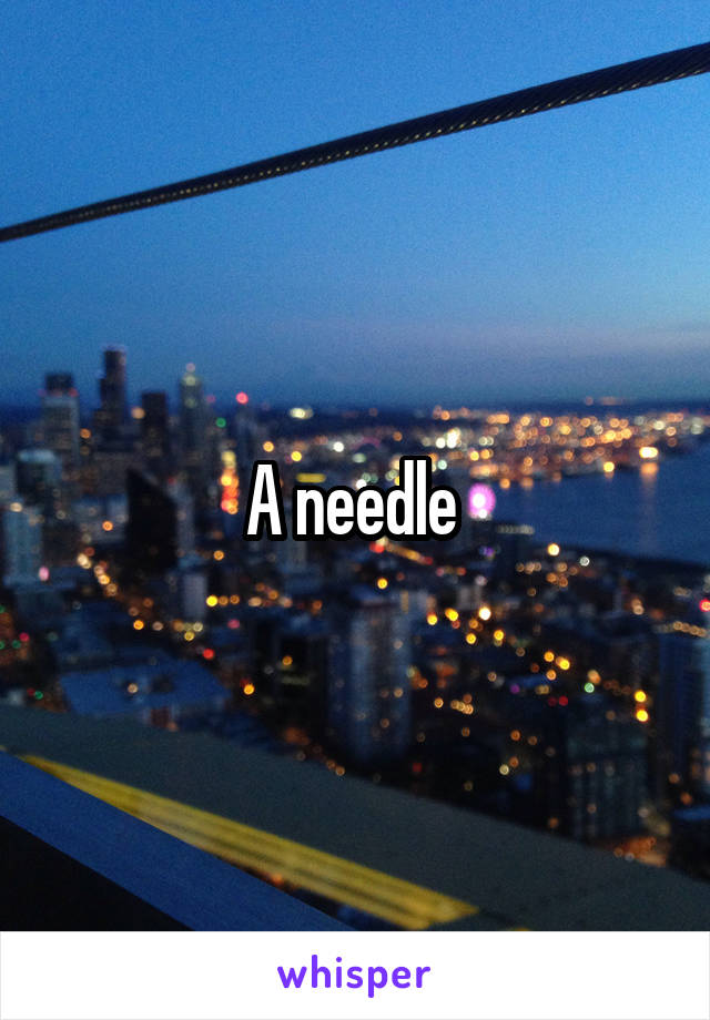 A needle 