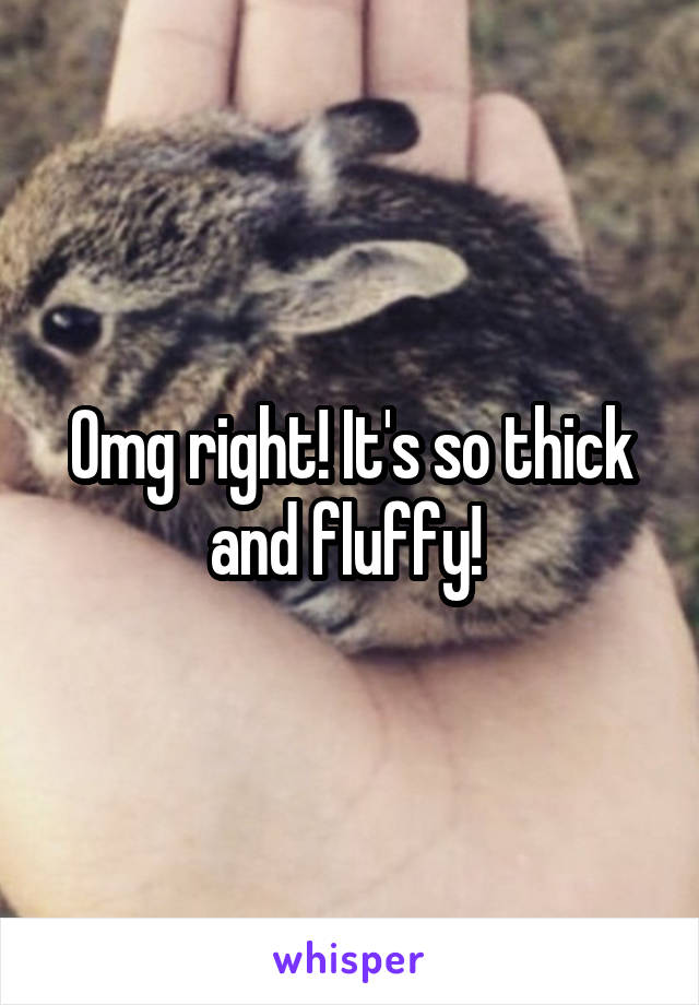 Omg right! It's so thick and fluffy! 