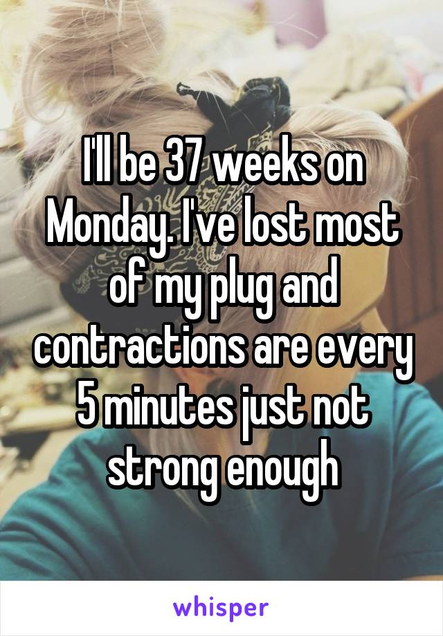 I'll be 37 weeks on Monday. I've lost most of my plug and contractions are every 5 minutes just not strong enough