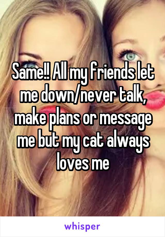 Same!! All my friends let me down/never talk, make plans or message me but my cat always loves me