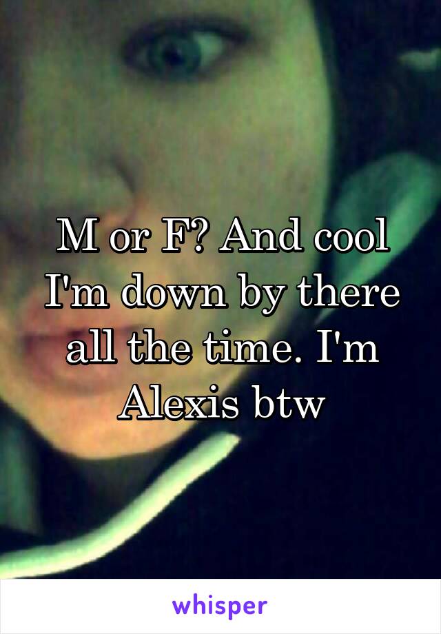 M or F? And cool I'm down by there all the time. I'm Alexis btw