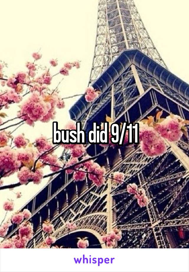 bush did 9/11