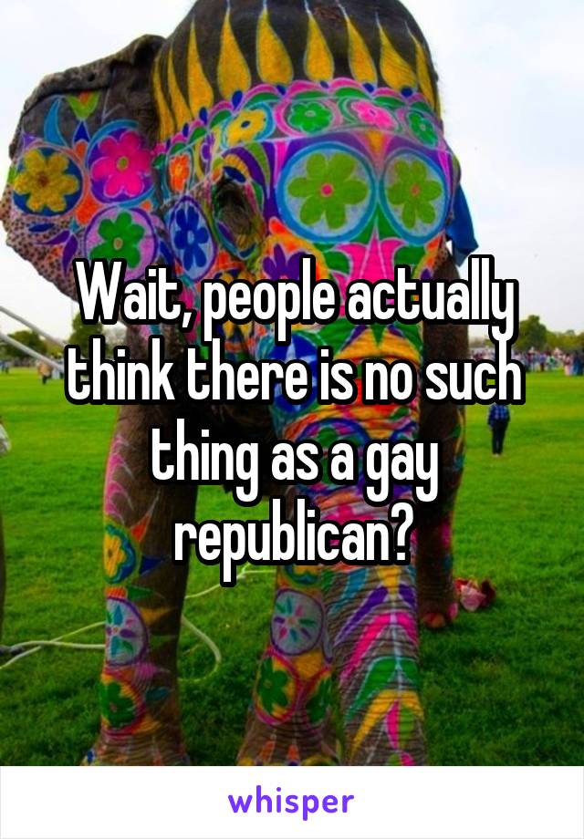 Wait, people actually think there is no such thing as a gay republican?