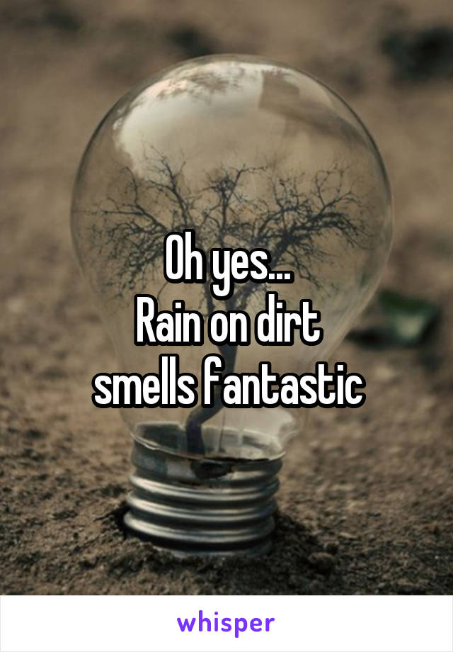 Oh yes...
Rain on dirt
smells fantastic