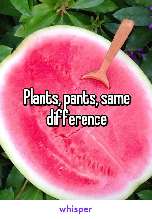 Plants, pants, same difference