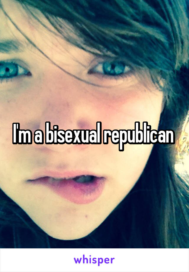 I'm a bisexual republican 