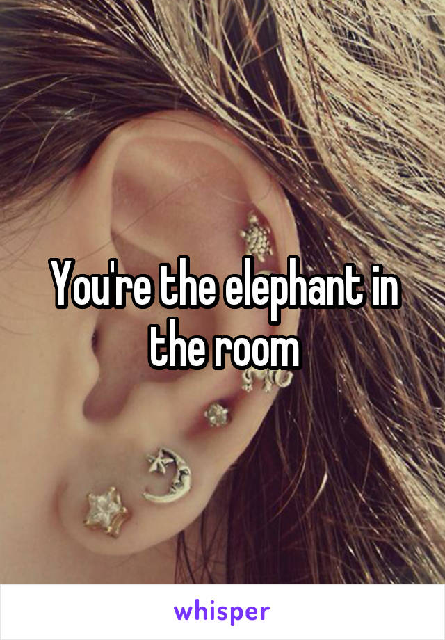 You're the elephant in the room