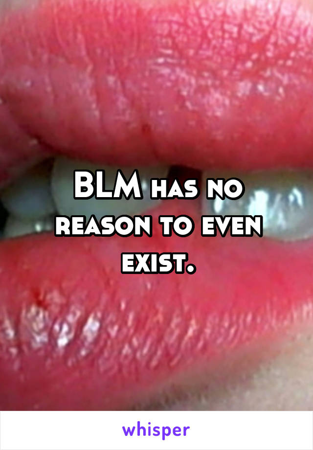 BLM has no reason to even exist.