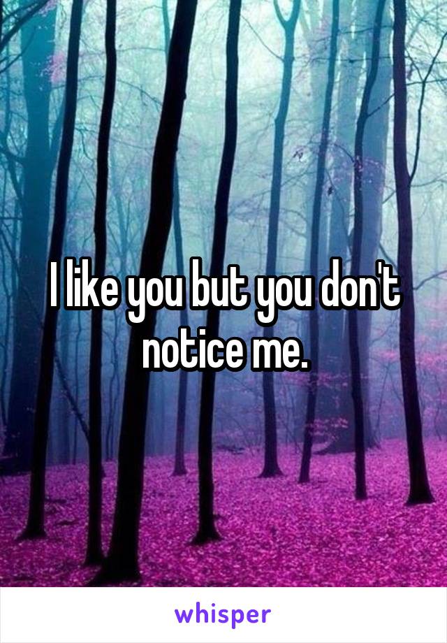 I like you but you don't notice me.