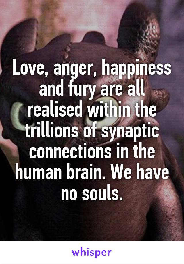 Love, anger, happiness and fury are all realised within the trillions of synaptic connections in the human brain. We have no souls.