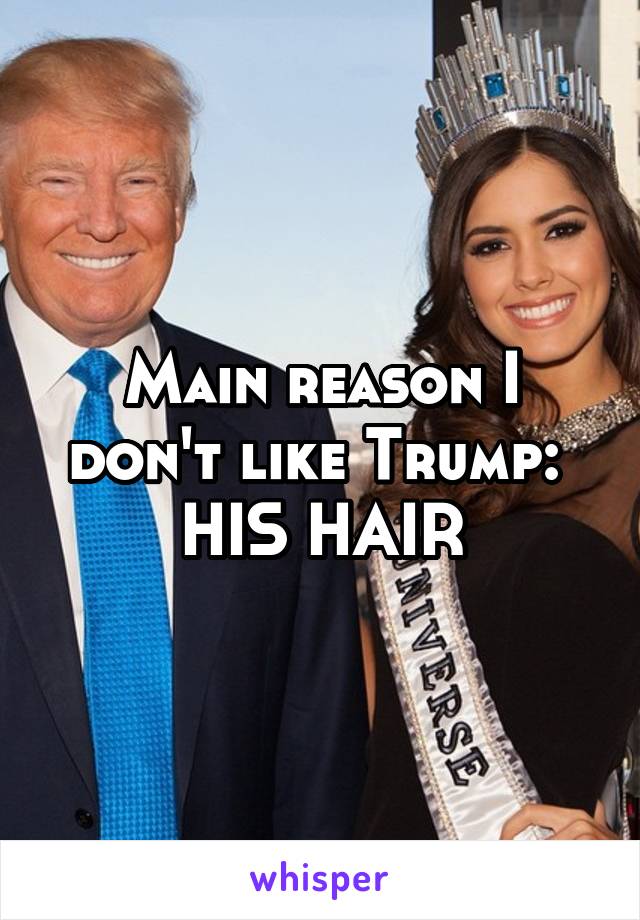 Main reason I don't like Trump: 
HIS HAIR