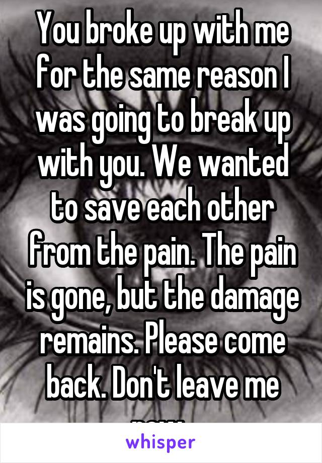 You broke up with me for the same reason I was going to break up with you. We wanted to save each other from the pain. The pain is gone, but the damage remains. Please come back. Don't leave me now. 