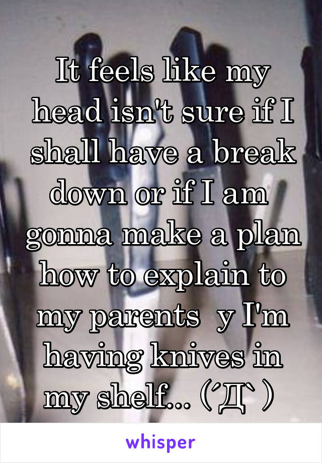 It feels like my head isn't sure if I shall have a break down or if I am  gonna make a plan how to explain to my parents  y I'm having knives in my shelf... (´Д` ) 