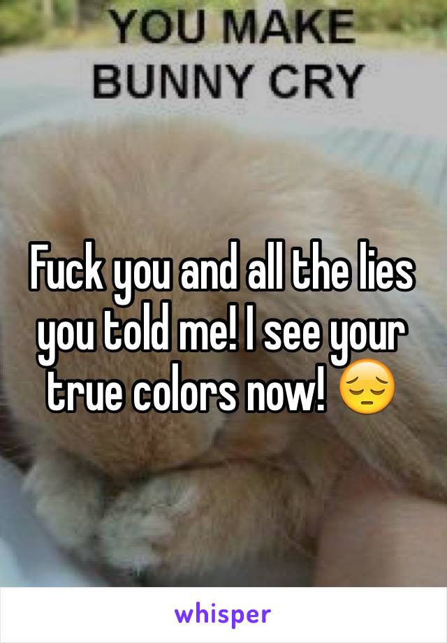 Fuck you and all the lies you told me! I see your true colors now! 😔