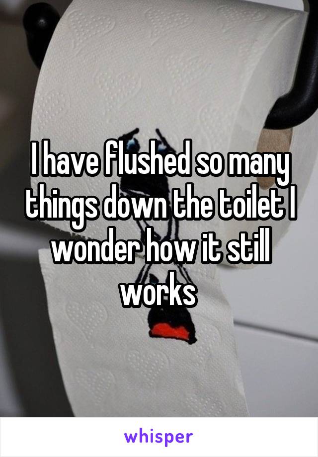 I have flushed so many things down the toilet I wonder how it still works 