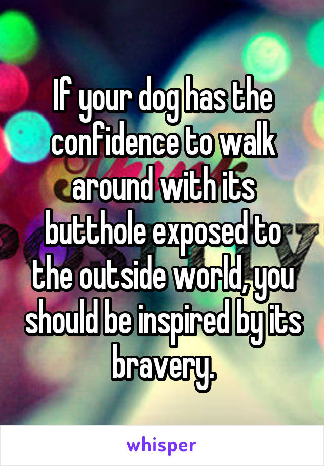 If your dog has the confidence to walk around with its butthole exposed to the outside world, you should be inspired by its bravery.