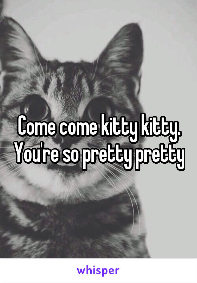 Come come kitty kitty. You're so pretty pretty