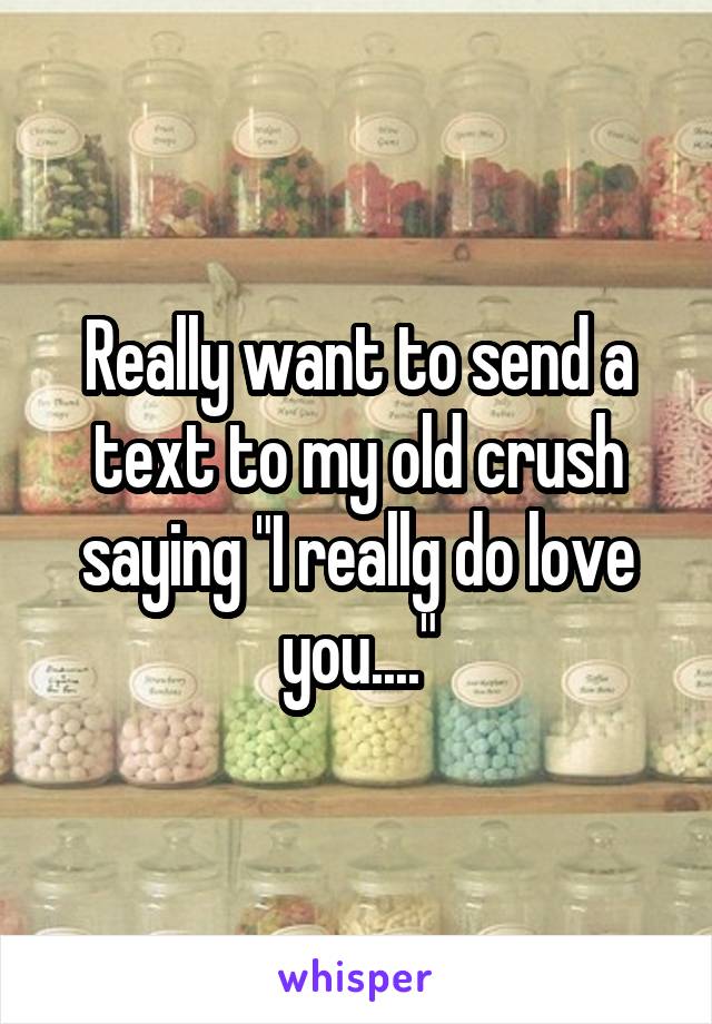 Really want to send a text to my old crush saying "I reallg do love you...."