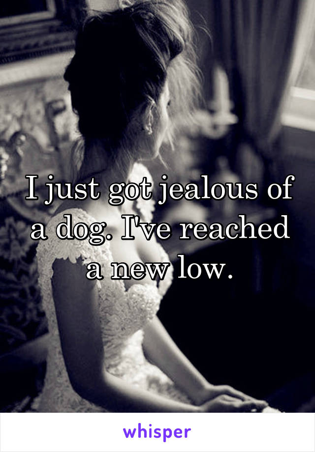 I just got jealous of a dog. I've reached a new low.