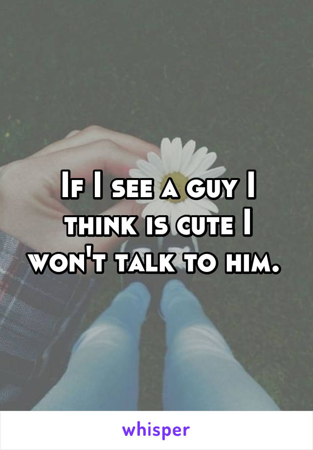 If I see a guy I think is cute I won't talk to him. 