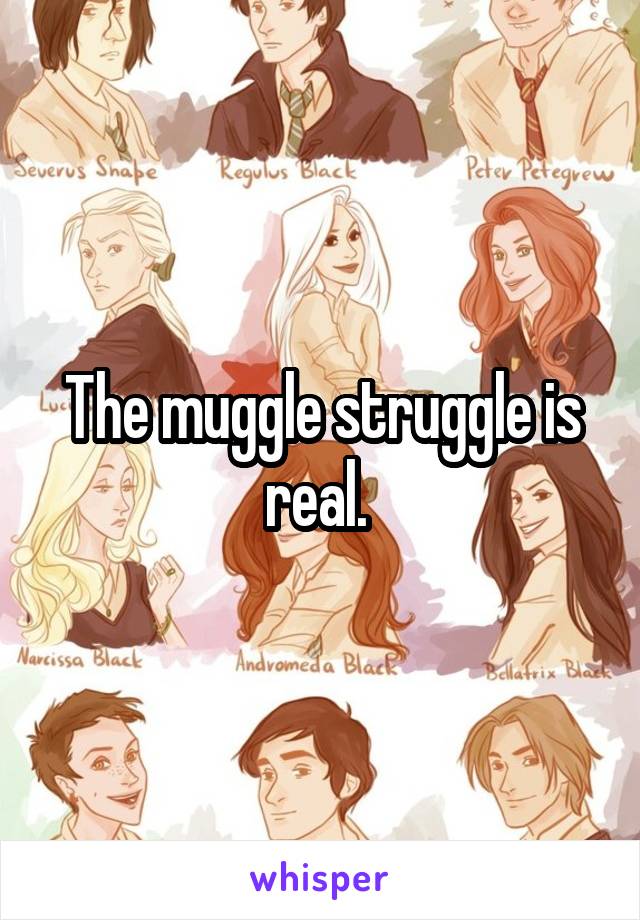 The muggle struggle is real. 