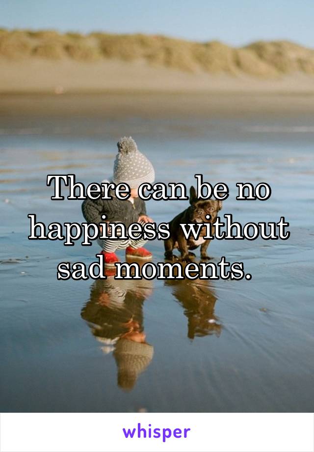 There can be no happiness without sad moments. 