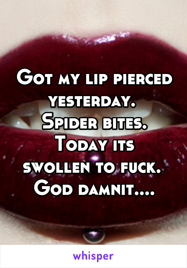 Got my lip pierced yesterday. 
Spider bites.
Today its swollen to fuck. 
God damnit....