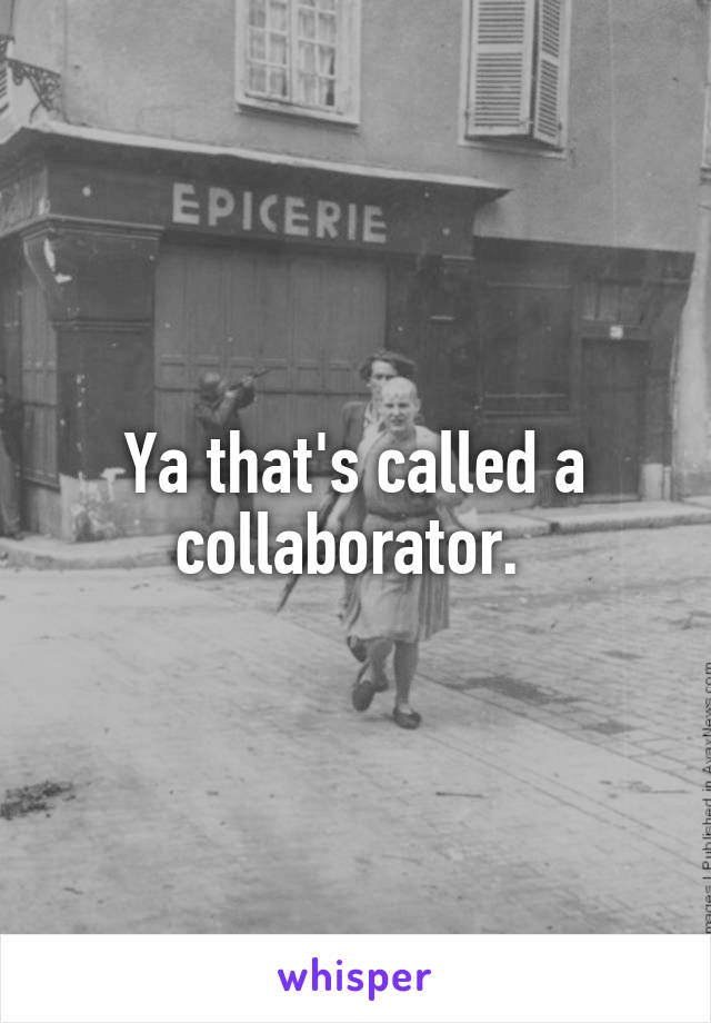 Ya that's called a collaborator. 