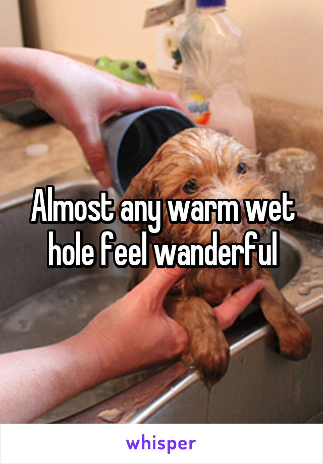 Almost any warm wet hole feel wanderful