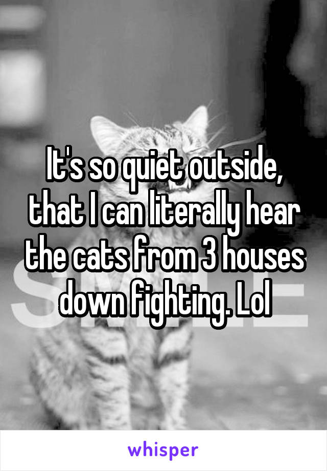 It's so quiet outside, that I can literally hear the cats from 3 houses down fighting. Lol