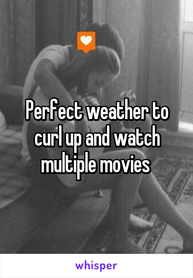 Perfect weather to curl up and watch multiple movies 